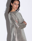 Metallic Silver Dress